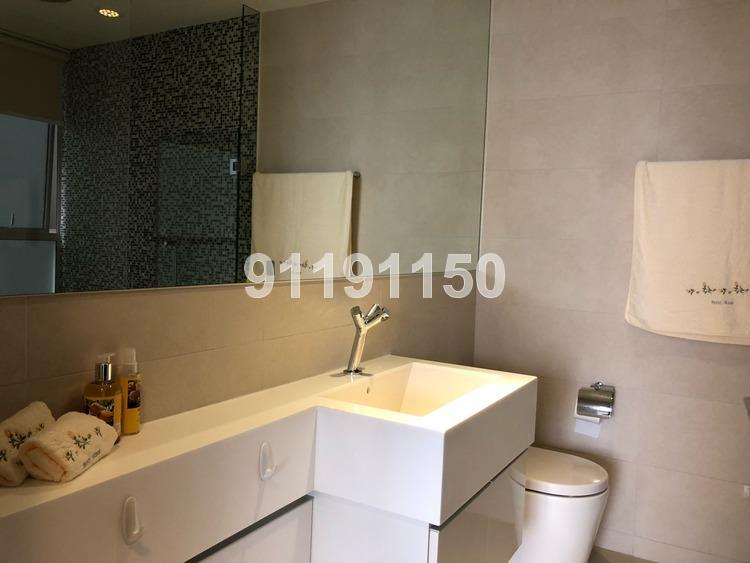 The Rochester Residences (D5), Apartment #163550542